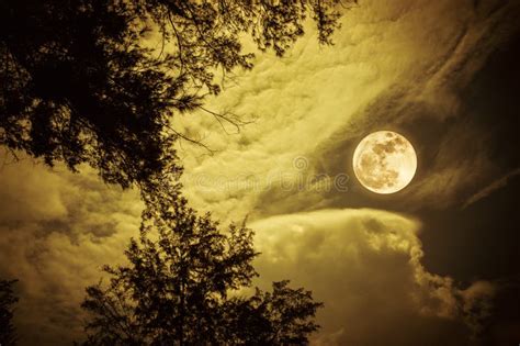 Landscape Of Sky With Full Moon At Night Serenity Nature Background