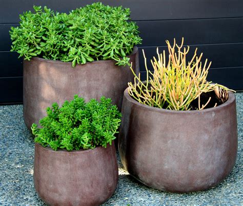 For official information on sam's club, see samsclub.com. Online Store NOW OPEN! Visit gardenexpressions.com.au ...