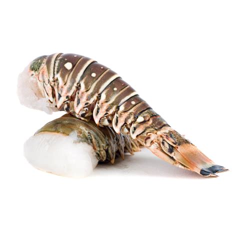 West australian lobster tails,revered for their size and wonderfully rich sweet flavor. Frozen Australian Wild Green Lobster Tail | South Stream ...