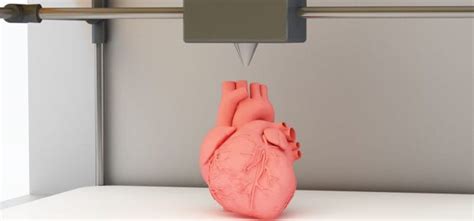 The First 3d Printed Soft Artificial Heart Ieee Transmitter