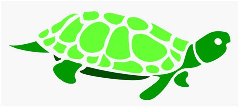 Green Sea Turtle Clip Art Turtle Clipart Clear Background HD Png