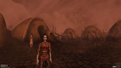 The Elder Scrolls Online Morrowind Guildhac