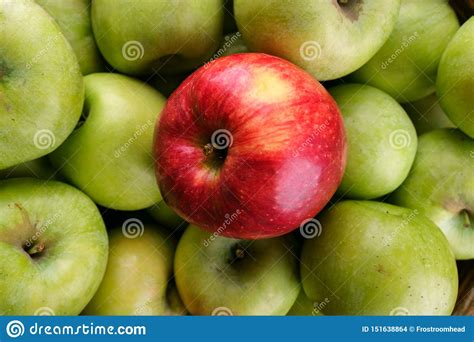 Single Red Apple On Green Apples Texture Stock Photo Image Of