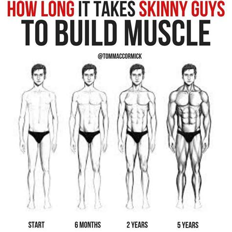 10 Rules For Building Muscles On Bulking Phase Muscle Gain Workout Gain Muscle Fast Workout