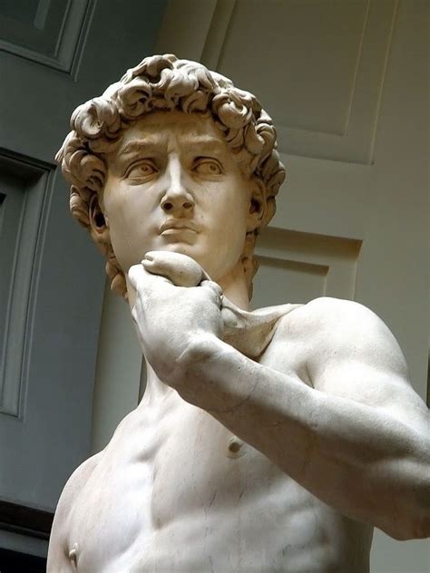 David Reference Art Michelangelo Statue