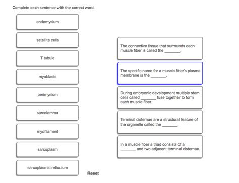 Now Choose The Correct Item That Completes Each Sentence Below