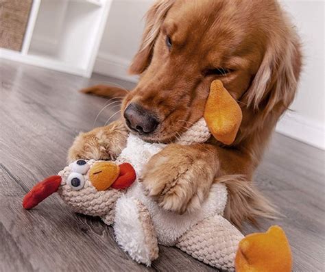 11 Dog Toys That Will Entertain Your Pup For Hours On End In 2020 Spy