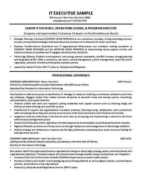 It Director Resume Example It Management Operations Management Best