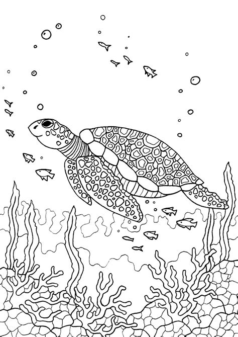 Unfortunately, this sea animal starting rare because of the actions of humans who like hunting him. Turtle adult colouring page : Colouring In Sheets - Art ...
