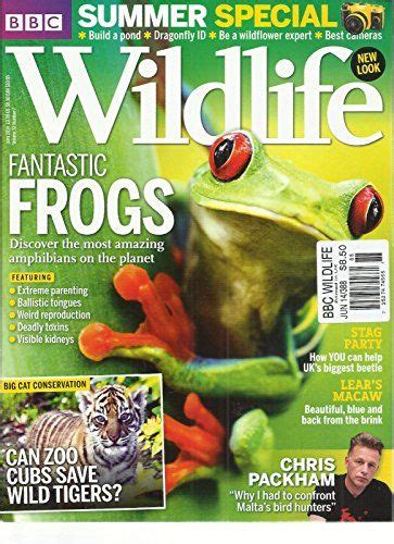 Bbc Wild Life June 2014 Build A Pond Dragonfly Id Be A Wildflower