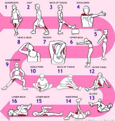 Full Body Stretch Routine Will Definitely Do Because The More Stretches You Do The More Room