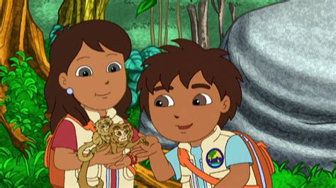 Watch Go Diego Go Season 1 Episode 12 A Booboo On The Pygmy