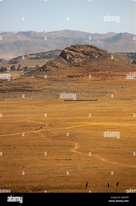 Arid Landscape Senafe Eritrea Stock Photo Alamy