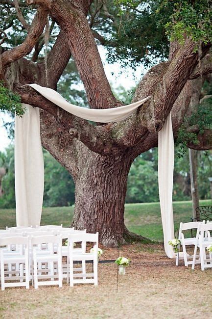 Ceremony Under The Trees Decor Ideas Wedding Ceremony