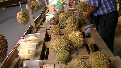 There always is durian all year in penang. 110 Ringgit for 1 Durian, Balik Pulau, 17 Jun 2018 - YouTube