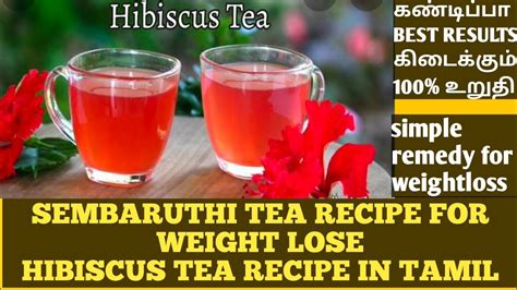 Sembaruthi Tea Recipe Hibiscus Tea Recipe In Tamil Hibiscus Lemon