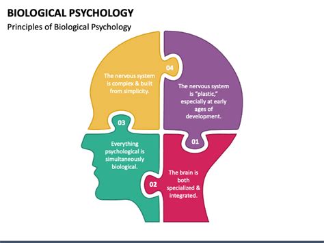 Biological Psychology Powerpoint Template Ppt Slides