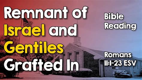 Remnant Of Israel And Gentiles Grafted In ~ Romans 111 23 ~ Bible Reading