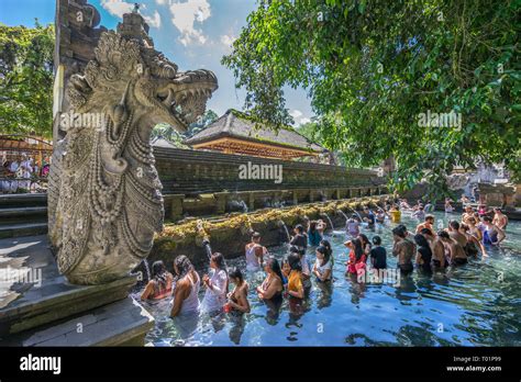 Group Of Worshippers At Cleansing Ceremony At Pura Tirta Empul Temple Famous For Its Holy Spring
