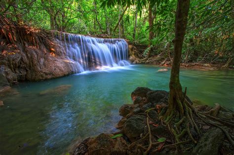 Jungle Forest Trees Stream Waterfall Rocks Nature