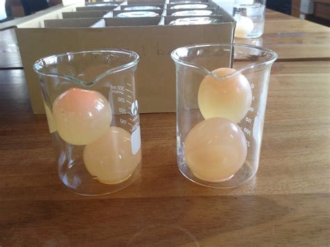 Growth, digestion) at the organism level with life processes at the cellular level. Egg osmosis experiment