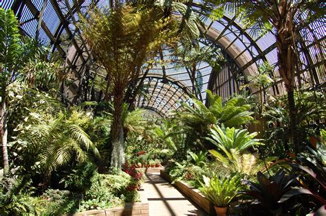 Botanical Gardens Los Angeles Open Beautiful Insanity