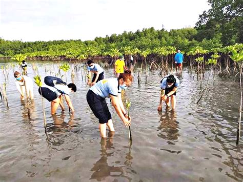 200 Mangrove Propagules Planted In Nueva Valencia