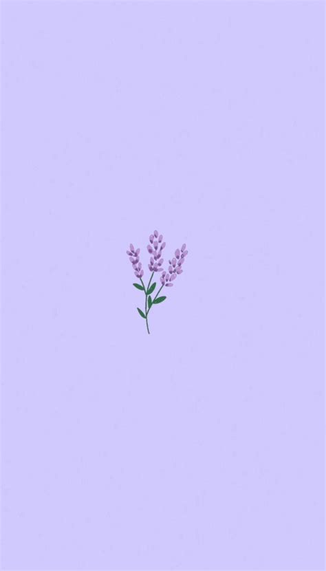 Purple Flowers Aesthetic Lavender Wallpaper Ingersolberg