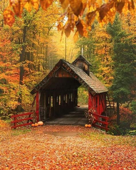 Beautiful Covered Bridge In The Fall 💛 Autumn Scenery Covered