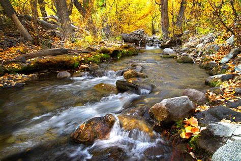 Fall Rush At Mcgee Creek Photograph By Lynn Bauer Fine Art America