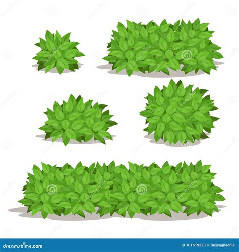 Set Of Bushes And Shrubs Natural Vector Illustration Stock Vector