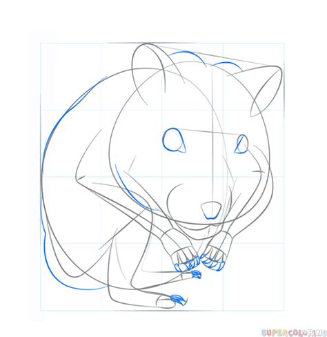 How To Draw A Dwarf Hamster Step By Step Drawing Tutorials