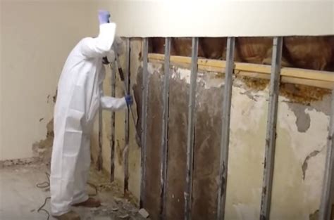 Read real reviews and see ratings for los angeles mold removal experts for free! Los Angeles, CA Mold Removal & Remediation Company | Mold ...