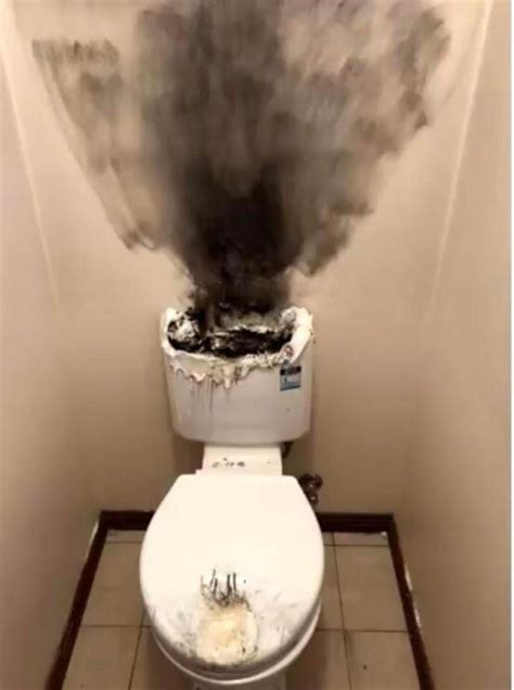 The Toilet After I Eat Taco Bell Rmemes