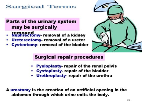Ppt Urinary Tract System Powerpoint Presentation Free Download Id