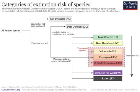 What does it mean for a species to be at risk of extinction? - Our