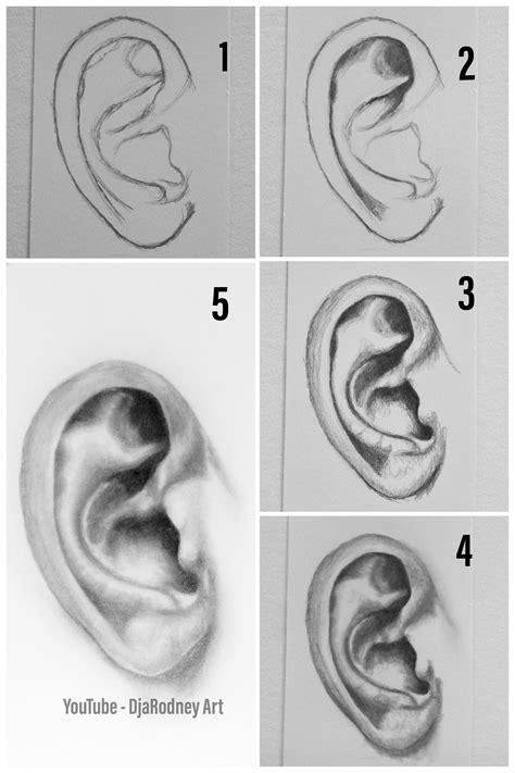 How To Draw Ears Step By Step Youtube Portraiture Drawing
