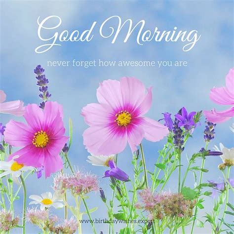 This collection features 60 good morning images, all with fresh and beautiful flowers. 60 Beautiful Flower Images with Inspiring Good Morning Quotes
