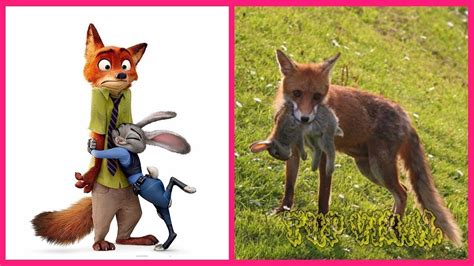 Zootopia Characters In Real Life 2019 Part 2 📷 Video Tup Viral