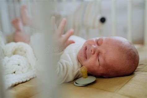 High Angle View Of Little Baby In Little Bed Stock Image Image Of
