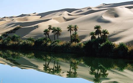 It is one of several desert and xeric shrubland ecoregions that cover the northern portion of the african continent. SAHARA DESERT : Amazing Ecosystems of the Sahara!!!