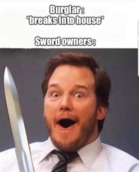 Sword Owners Be Like Rmemes