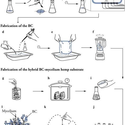 Schematic Depiction Of The Experimental Procedure Of The Fabrication Of