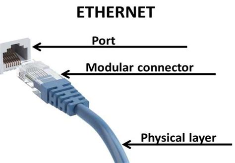 Ethernet connectors use a specialized design with eight pins that must lock into place, typically called an 8p8c connector. How to Convert WiFi to Ethernet? (The Complete Guide)
