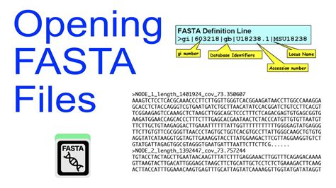 Opening Fasta Files Youtube
