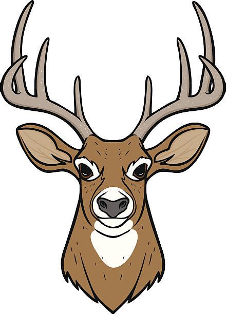Deer Head Illustrations Royalty Free Vector Graphics And Clip Art Istock