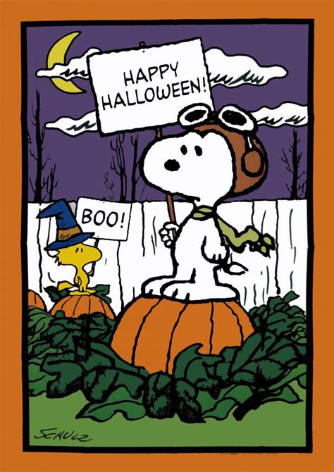 Snoopy Halloween Flag Wallpaper Snoopy Halloween 800x1131 Wallpaper