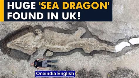 Huge Sea Dragon Fossil Found In Uk Ichthyosaur Fossil Oneindia