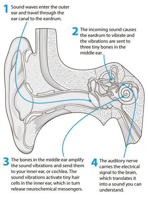 Discreet In Ear Hearing Aids The Tinnitus Clinic