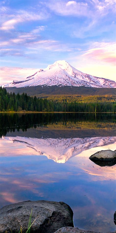 Trillium Lake Wallpaper 4k Mount Hood Pine Trees Forest Reflection